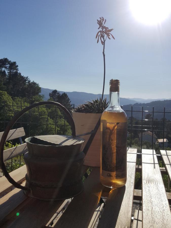 Chalet Por Do Sol Castro Daire Exterior foto